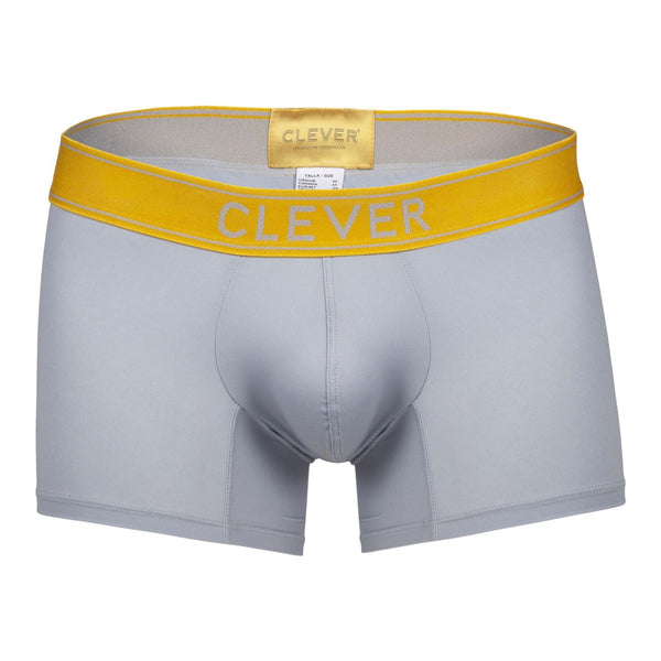 Clever 1755 Diseno Trunks Color Gray